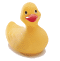 ducky.gif