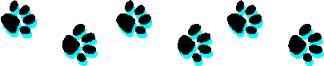 pawprint4.jpg